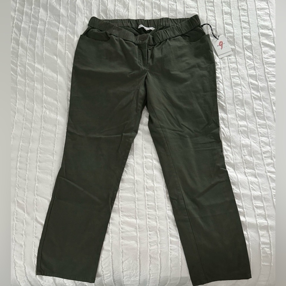 The nine’s maternity pants size 10 NWT
